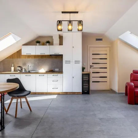 Apartament Big Marc Krynica-Zdrój Zewnętrze zdjęcie